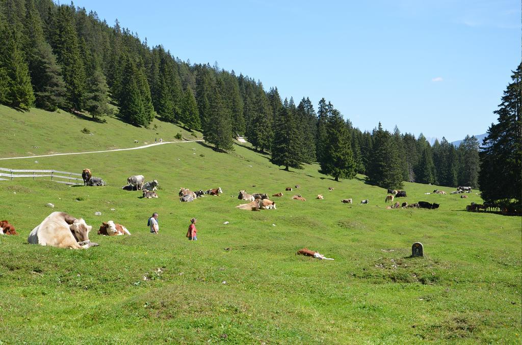 Haus Bergkristall Leutasch Buitenkant foto